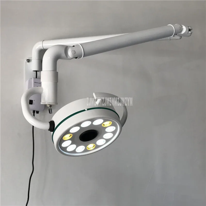 12*3W LED Surgical Shadowless Lamp Examination Light Stomatology Beauty Pet Treatment Wall Mounted Type Shadowless Light 220V