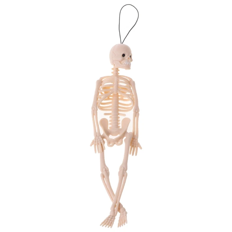 Skeleton Human Model Skull Full Body Mini Figure Toy Phone Hanger Halloween