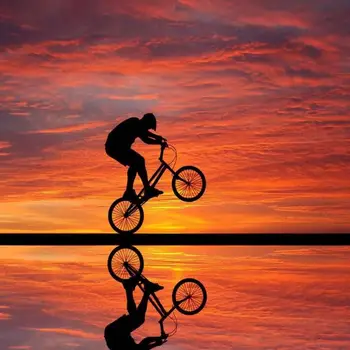 BMX 프리스타일 자전거 레이싱 2 실크 패브릭 벽 포스터 아트 장식 스티커, 밝은