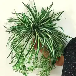 Fashion Artificial Plant 1Pc Artificial Plant Chlorophytum Flower Arrangement Decoration Wedding Decor Plante Artificielle