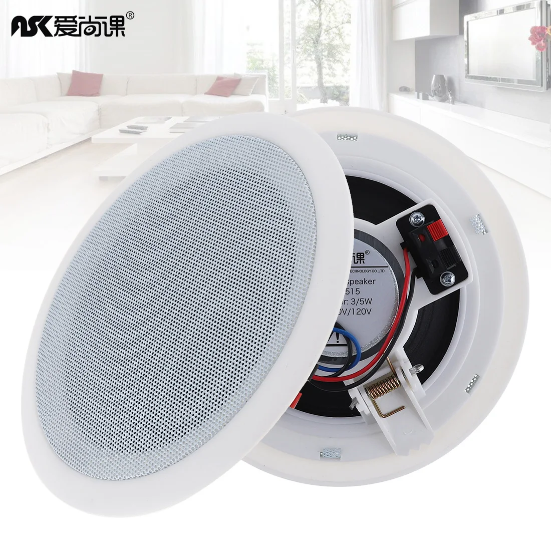 

2pcs 5 Inch 5W Microphone Input USB MP3 Player Ceiling Speaker Public Broadcast Background Music Speaker for Home Supermarket