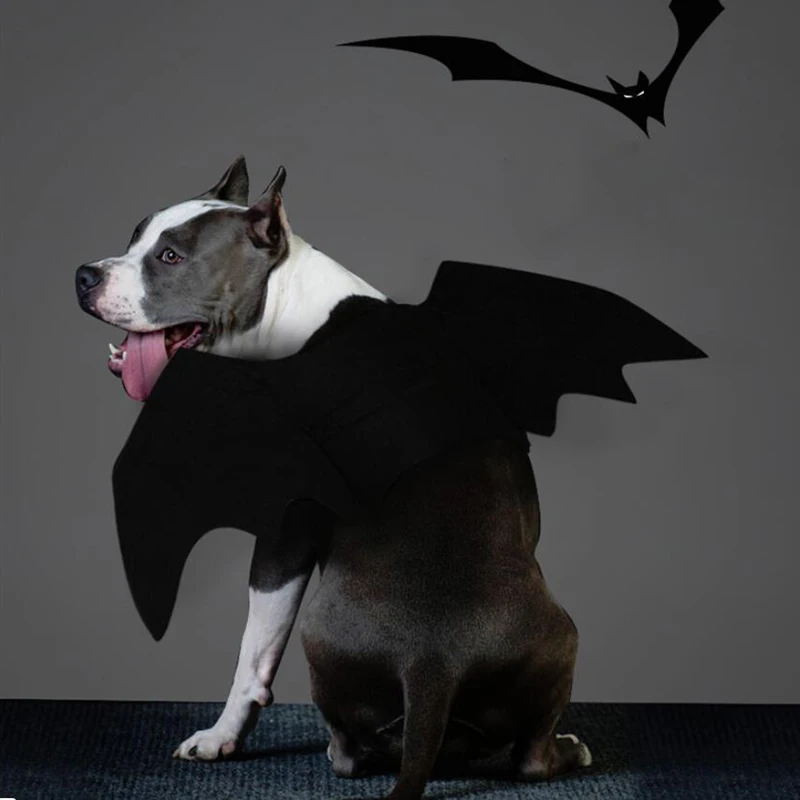 Halloween Costume for Dogs Pet Bat Wings Cat Dog Bat Costume Wings Dress Up Pet Accessories Party Pet Costume Puppy Wing