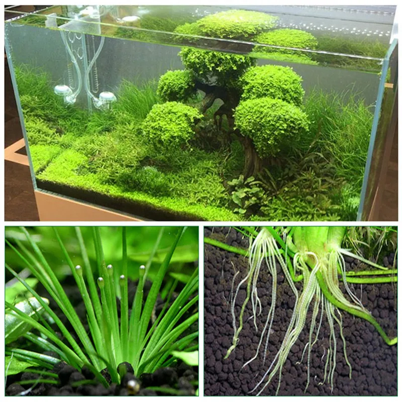 200g Fish Tank Water Plant Fertility Substrate Sand Aquarium Plant Soil Substrate Gravel For Fish Tank Water Moss Grass Lawn