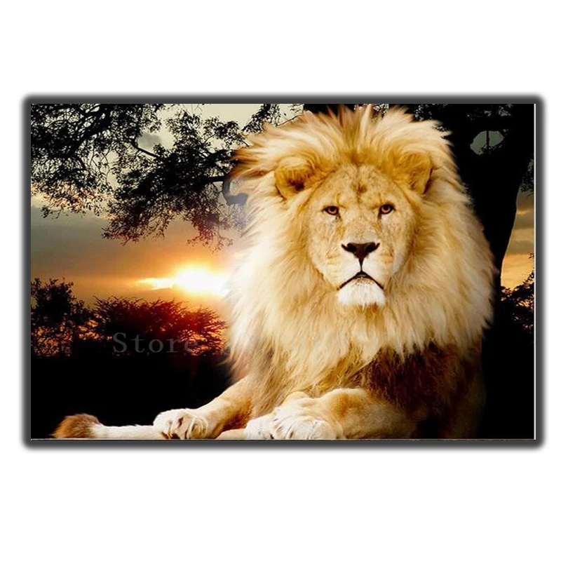 

Алмазная мозаика «сделай сам», алмазная вышивка с Львом, отдыха на закате, алмазная живопись, вышивка крестиком, Цветочные Стразы, наборы дл...