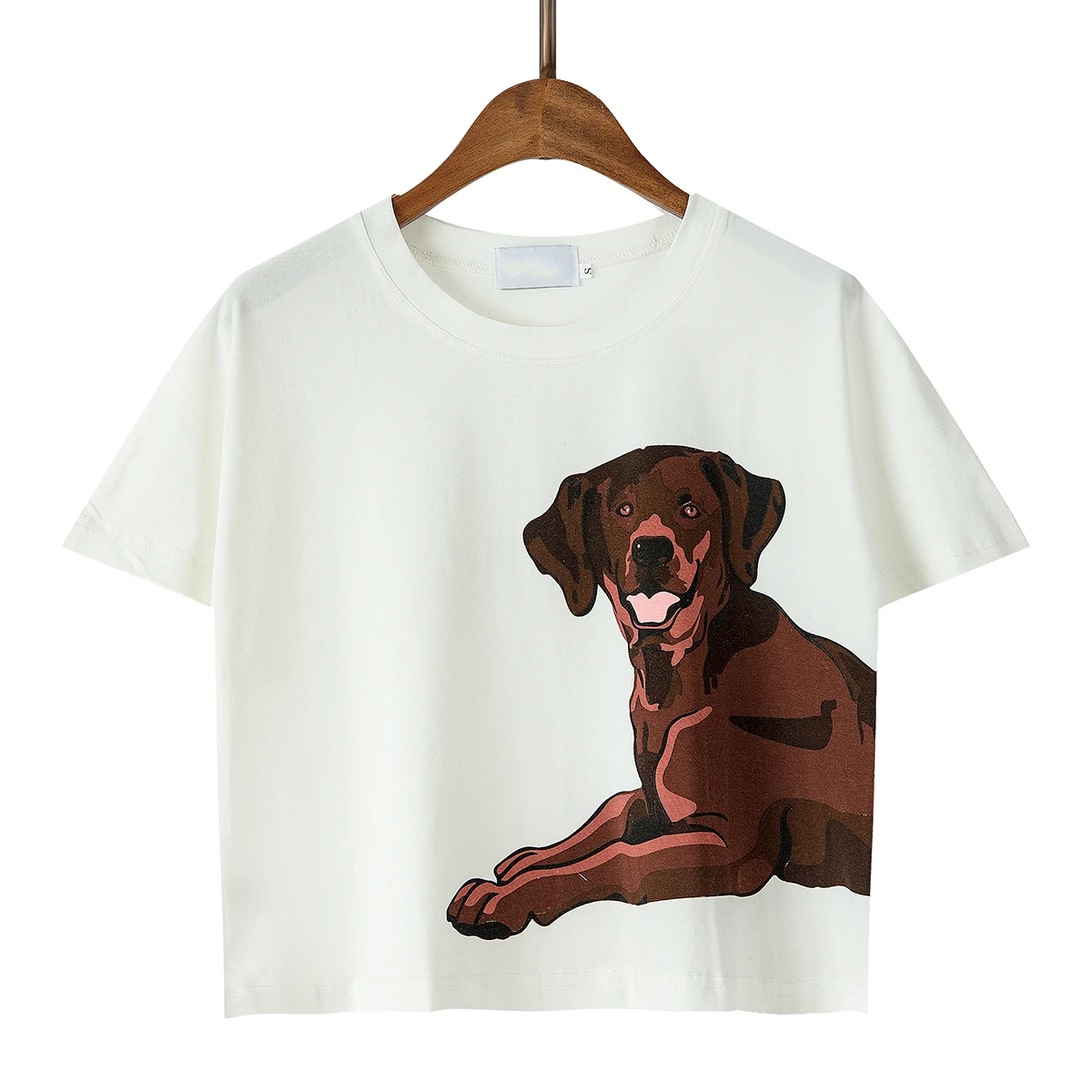 Dropshipping Chocolate Labrador Pajama Sets Women Dog Print 2 Pieces Set Crop Top + Shorts Elastic Waist Loose Pajamas Homewear