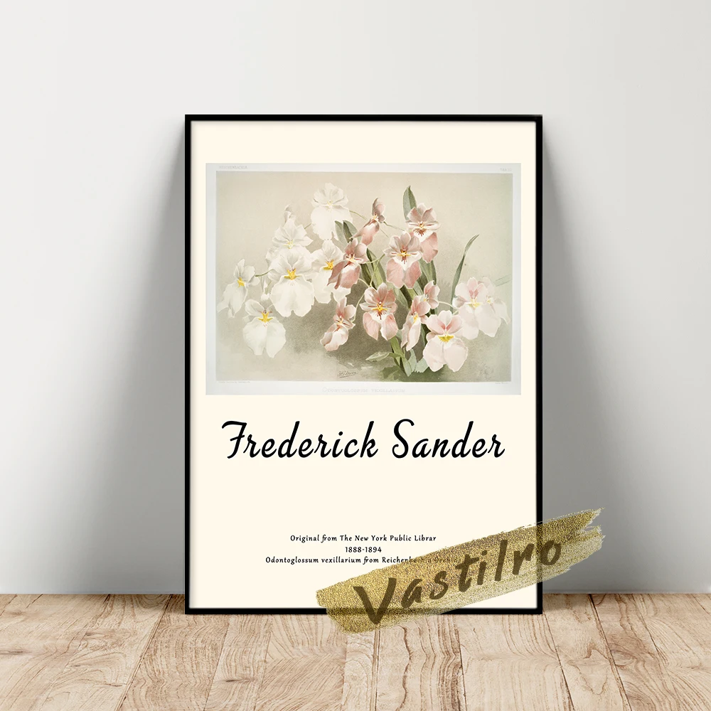 Frederick Sander Poster, Odontoglossum Vexillarium Prints, Reichenbachia Orchids Flowers Leaf Illustration, Retro Flora Wall Art