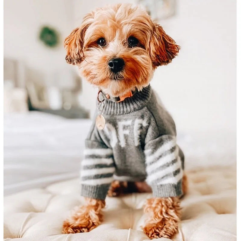 

DUOMASUMI-Flexible Clothes for Pets, Fashionable Clothes for Cat, Koki, Poodle, Pomeranian, Schnauzer, Teddy, Small Dog Sweaters