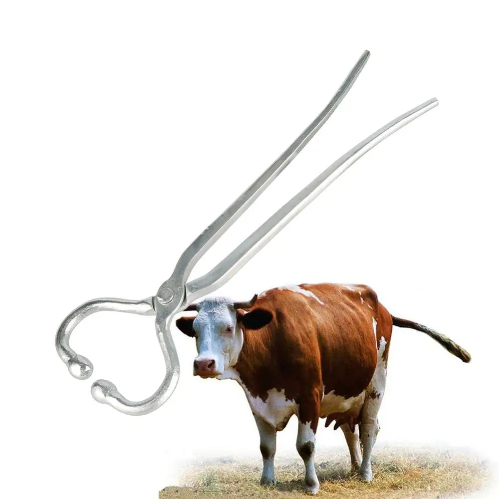 Cattle Livestock Tool Stainless Steel Cow Nose Ring Carrying Pliers Bull Cattle Bovine Pulling Tool Cow Nose Piercing Device 1Pc