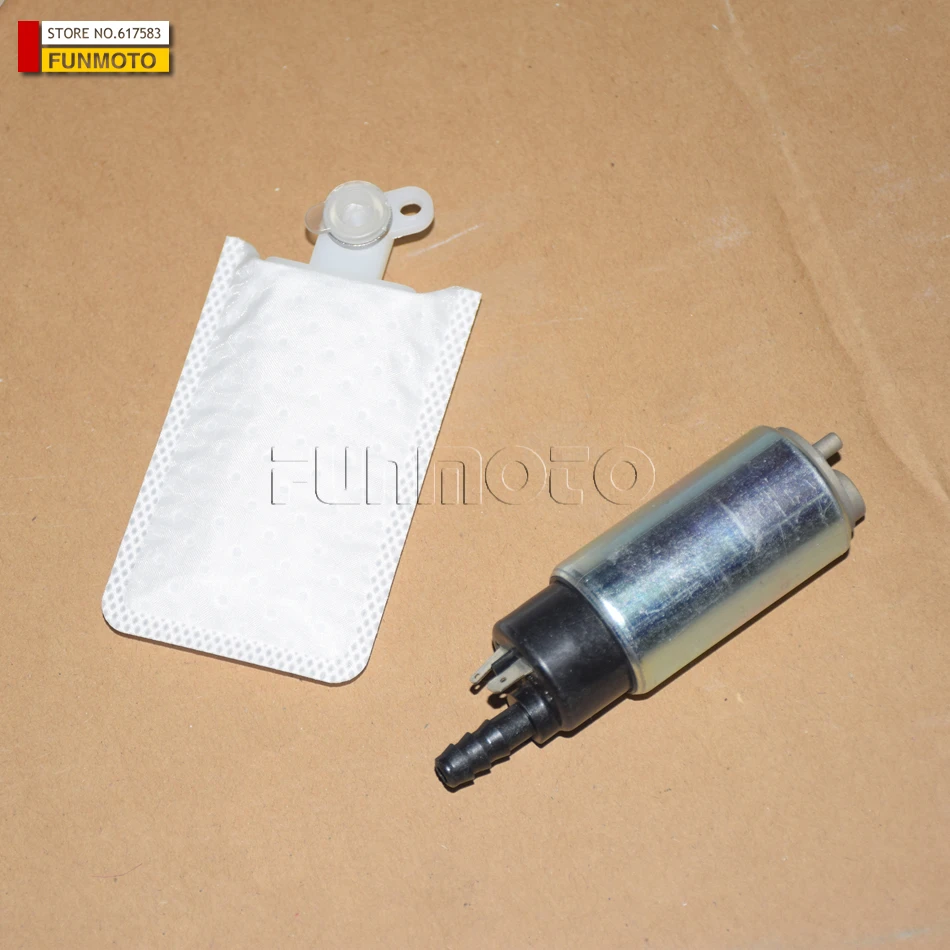 1pcs fuel pump motor and filter net suit for CF250/CF JETMAX 250  spring motorcycle 250-6