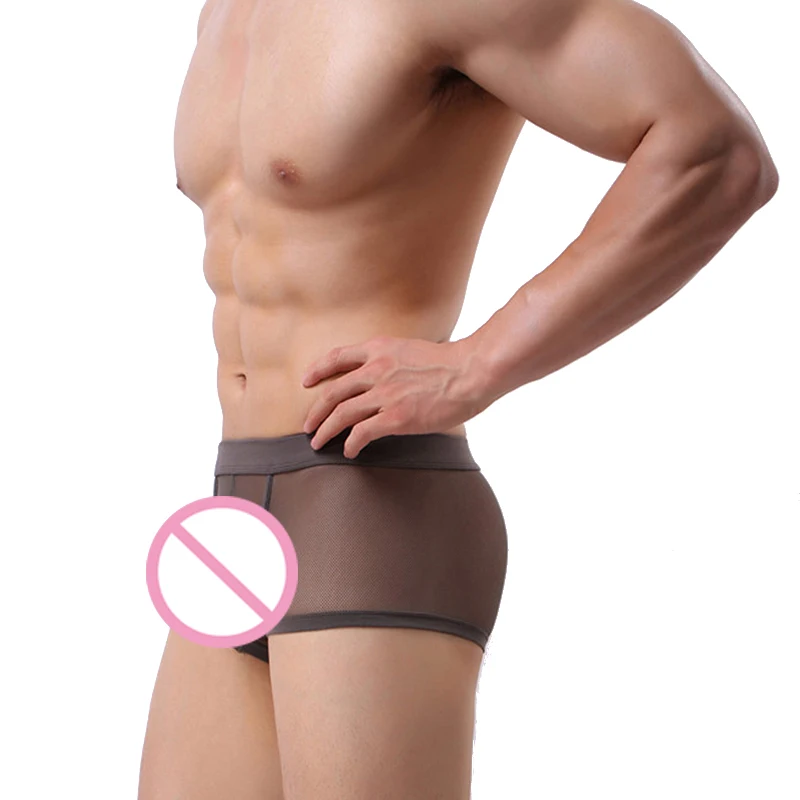 Bóxer de malla de encaje transparente para hombre, ropa interior Sexy, calzoncillos transpirables, cómodos, bragas Cueca