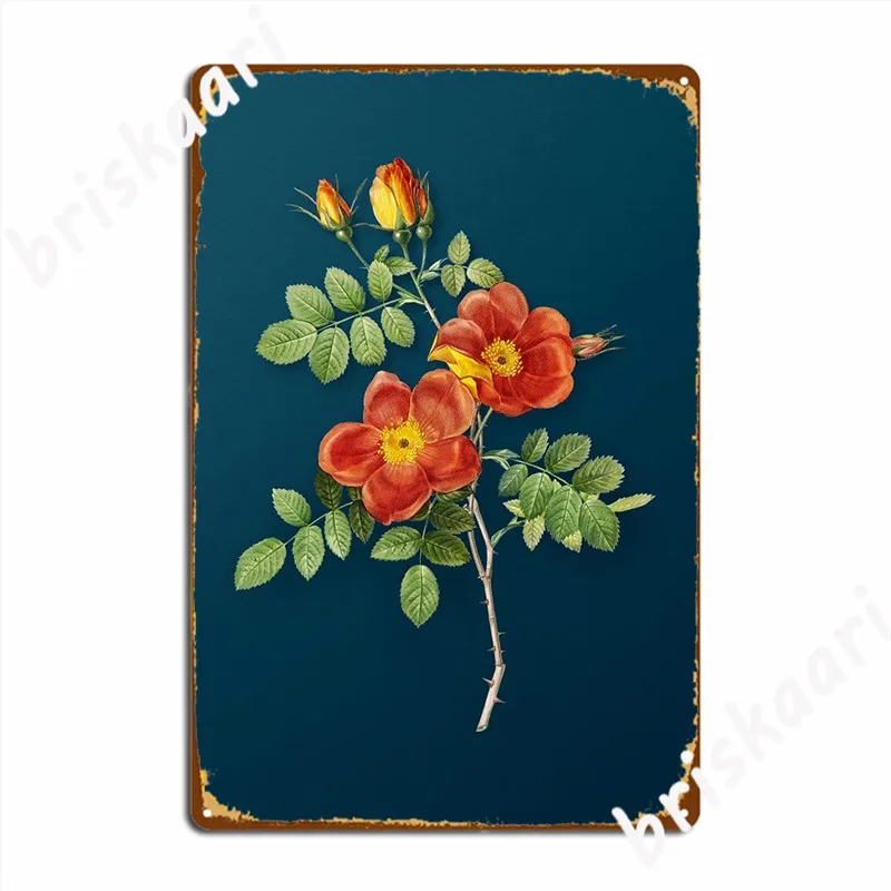 Austrian Briar Rose Metal Sign Wall Decor Wall Pub Design Pub Garage Tin Sign Poster