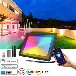 220V Smart Led 30W 50W 100W Flutlicht RGB Outdoor Scheinwerfer Wall Street Lampe Tuya WiFi smart Leben Alexa Control Led Projektor