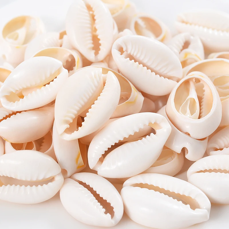 Naturalne białe owalne koraliki z otworami Cowrie Conch Ręcznie robione luźne koraliki dystansowe do tworzenia biżuterii Bransoletka Naszyjnik — zdjęcie 3