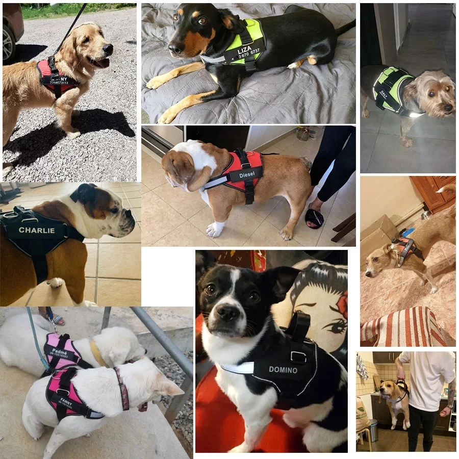 Reflective No Pull Dog Harness 5