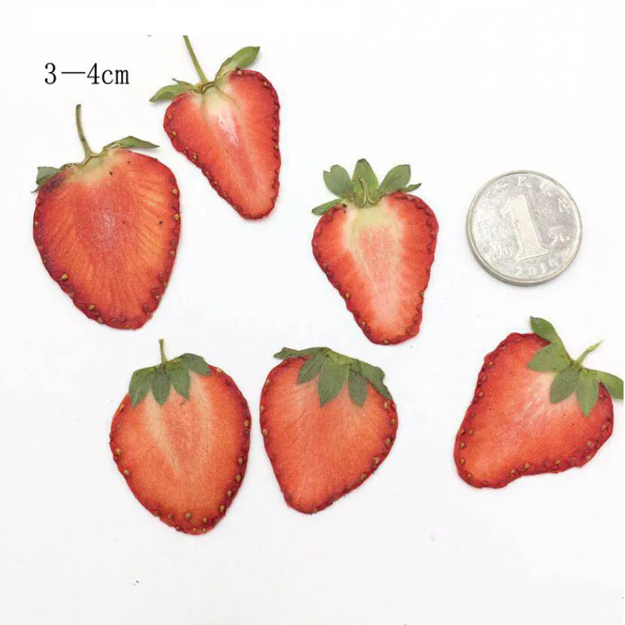 

5pcs Dried Pressed Fruit Strawberry Meat Slices Plant Herbarium For Jewelry Photo Frame Phone Case Bookmark Making DIY