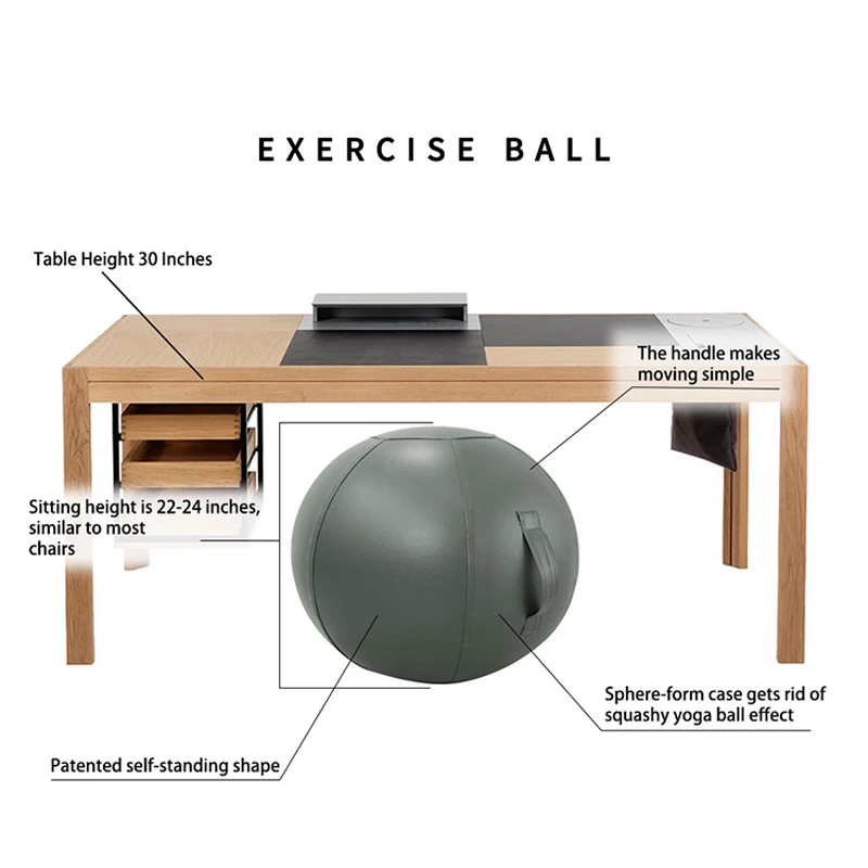 Anti-burst Yoga Ball with Leather Cover Thickened Stability Balance Ball Pilates Barre Physical Fitness Exercise Balls 65CM 75CM