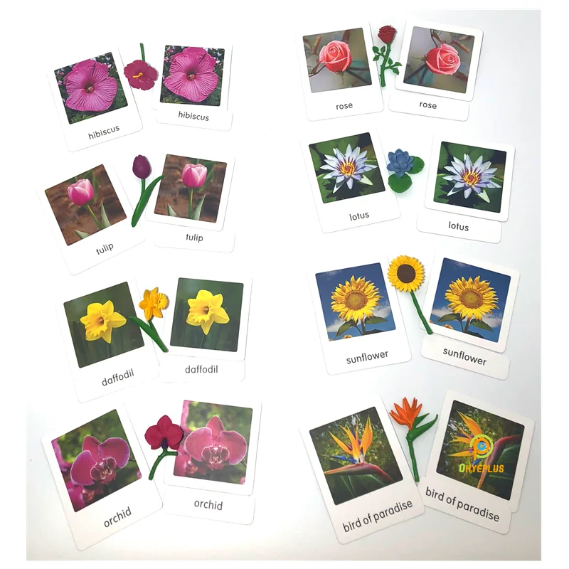 Montessori Biology Materials Kids Flowers Learning Resources  Models/ Cards Matching Game for Children Early Childhood Education