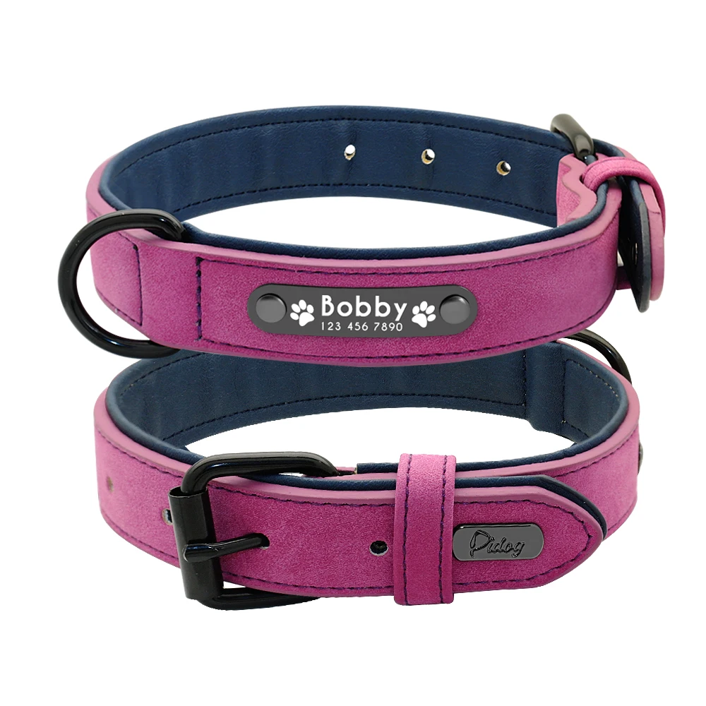 Variant: Purple Collar