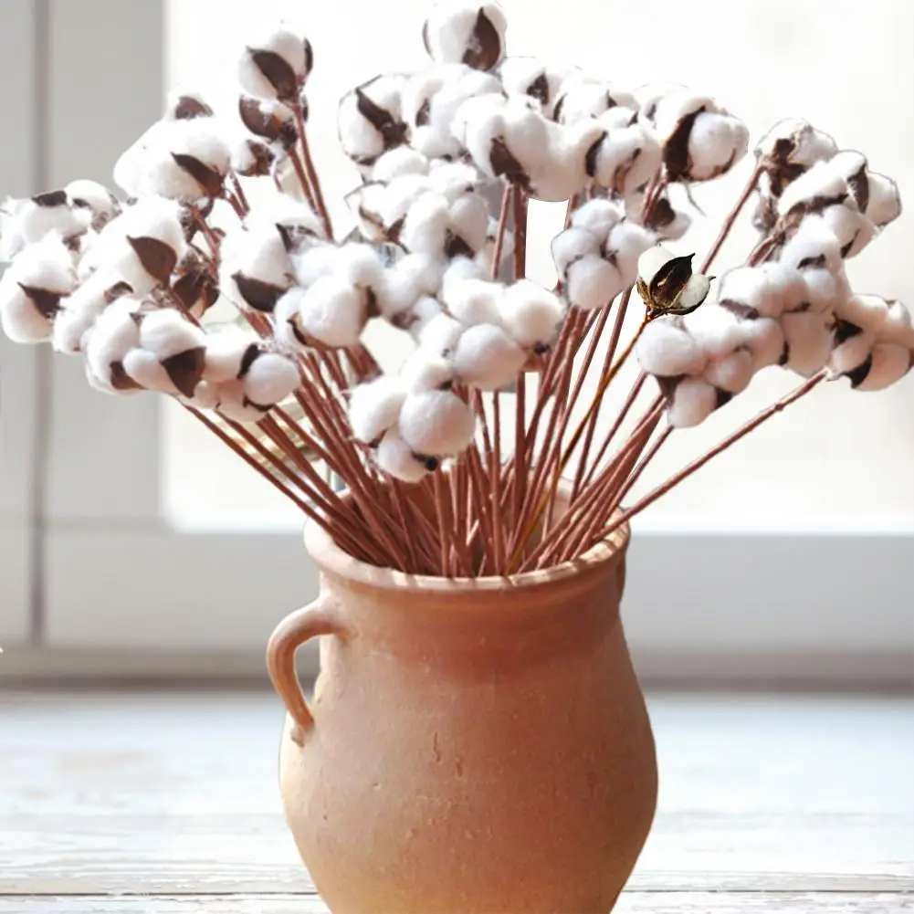 10pcs/bunch Natural dry flower cotton branches single cotton ball dried flower head artificial cotton branches white