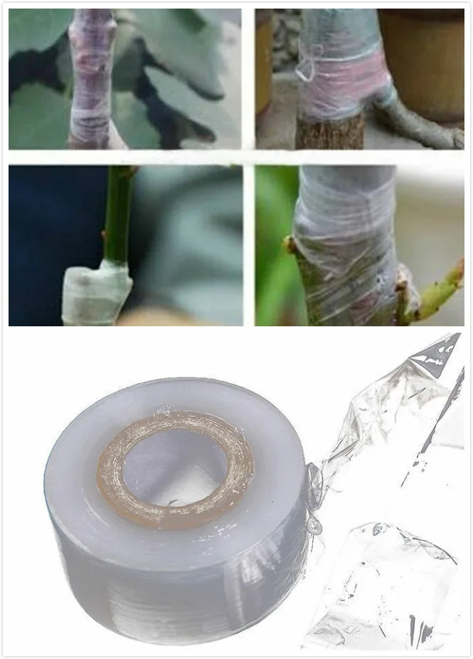 Multifunctional Grafting เทปซีลฟิล์ม,Pruning สาขา,Grafting,Budding Barrier,ดอกไม้ Pruning,พืช,ผลไม้,Moi