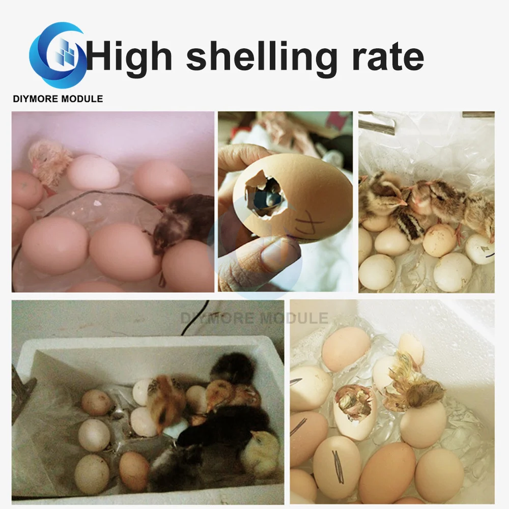 20-50 eggs household incubator small plastic bionic water bed incubator automatic temperature control egg incubator 220v US-plug