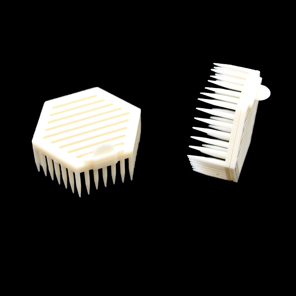 2PCS Beekeeping Plastic Queen Cells Press Insert Into Comb In Introduction New King To Conloy  Apicultura Supplies