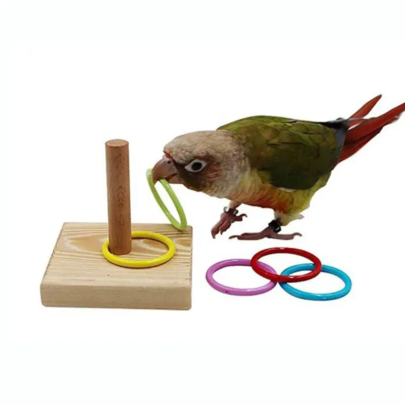 Wooden Bird Toy Parrot Platform Plastic Ring Intelligence Development Parrot Training Toy Bird Chew Bird Toy Puzzle Pet Supplies