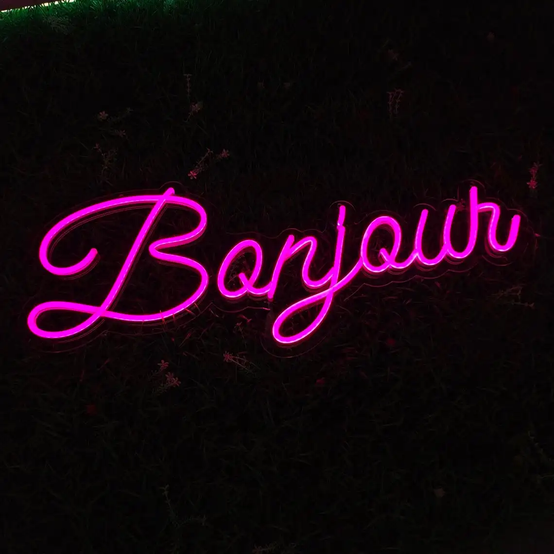 Bonjour Custom Neon Sign Led light liTransparen Adjustable Voltage Wedding Wall Art Home Bar anime neon light neon sign gym