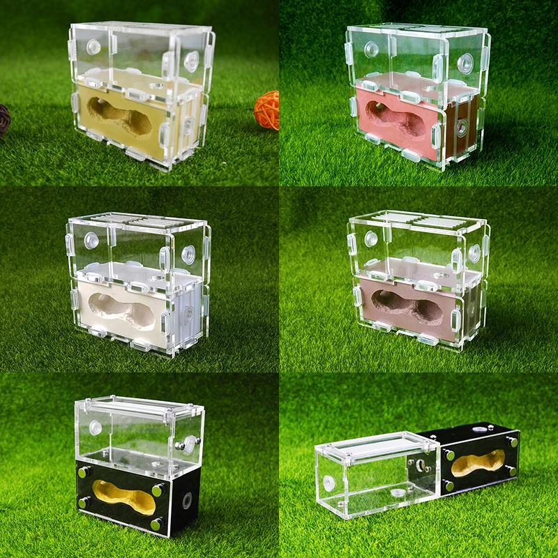 Nid de Fourmis en Acrylique et Plâtre, Maison de Ferme pour Insectes, Fournitures de Terrarium pour Reptiles, Cadeaux de Noël