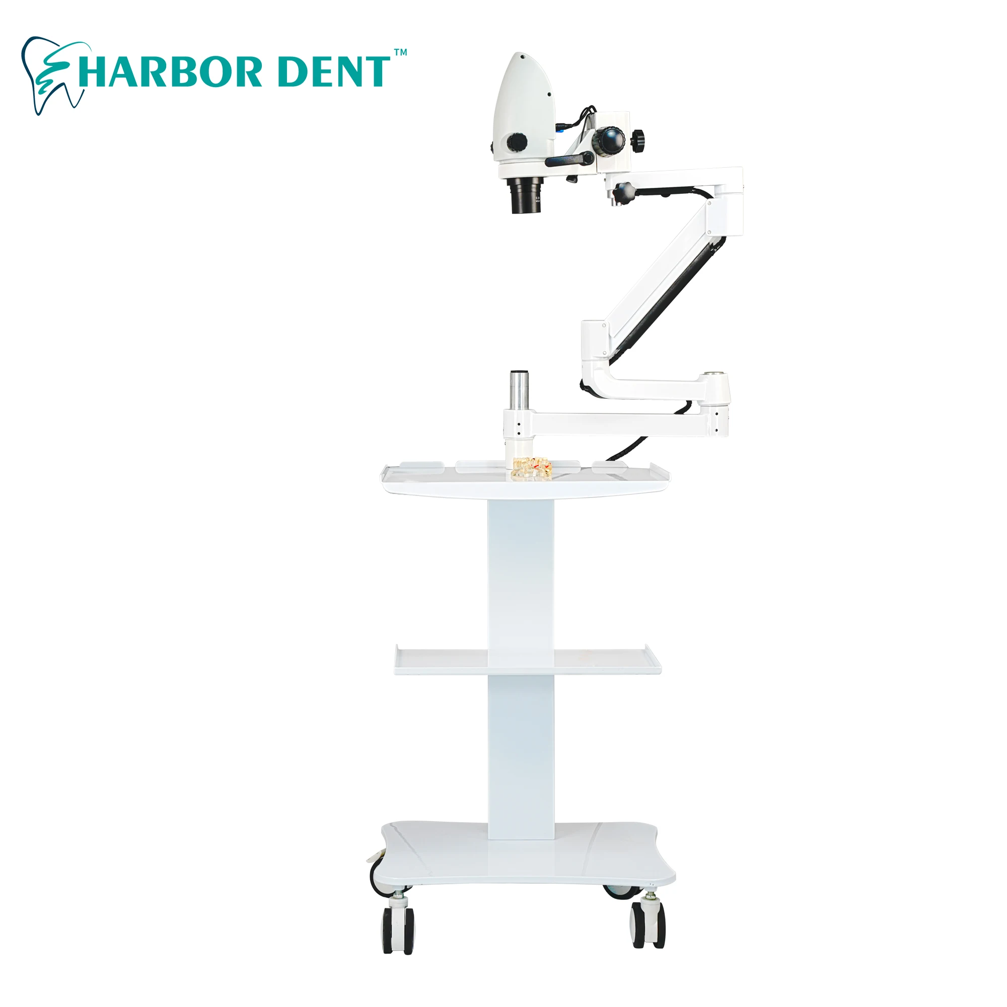 5X-33X Dental Microscope Built-in Camera 20 Million Pixels Video Support 4K Display (100V-240V) With Display