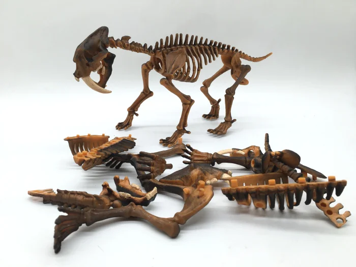 Dinosaur Archaeological Excavation Fossil Skeleton Assembly Model 24 cm for Kids Toy