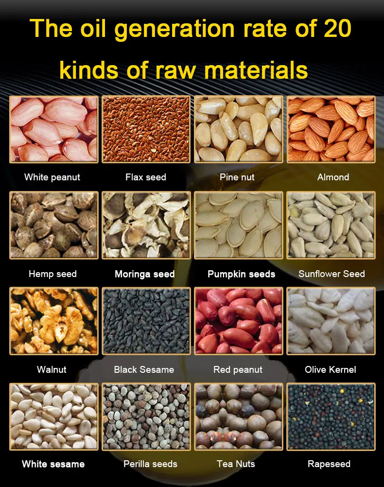 Prensa de aceite eléctrica automática para uso doméstico, máquina de freír de acero inoxidable, temperatura ajustable, Extractor caliente en frío de fácil funcionamiento