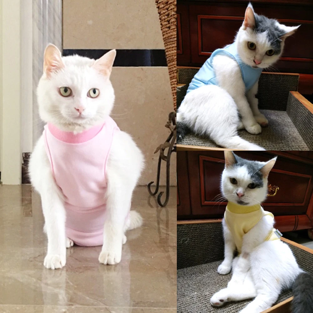 Gran oferta, recién llegado, traje de desmame de recuperación para gatos domésticos, chaleco elástico transpirable, ropa para heridas, venta al por mayor, triangulación de envíos