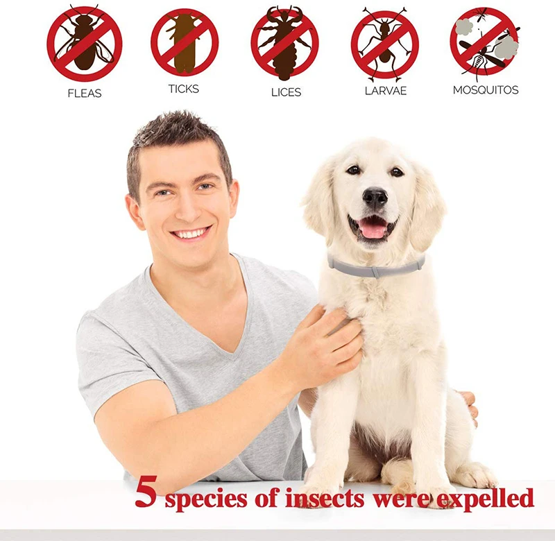 Thumbnail 2 - #4 Latest Pet Flea & Tick Control Offers