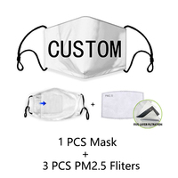 Reusable Custom Face Mask with 3Pcs PM2.5 Filter Anti Dust Washable Breathable Mouth Masks Brand Letter Print kid/Adult Mask