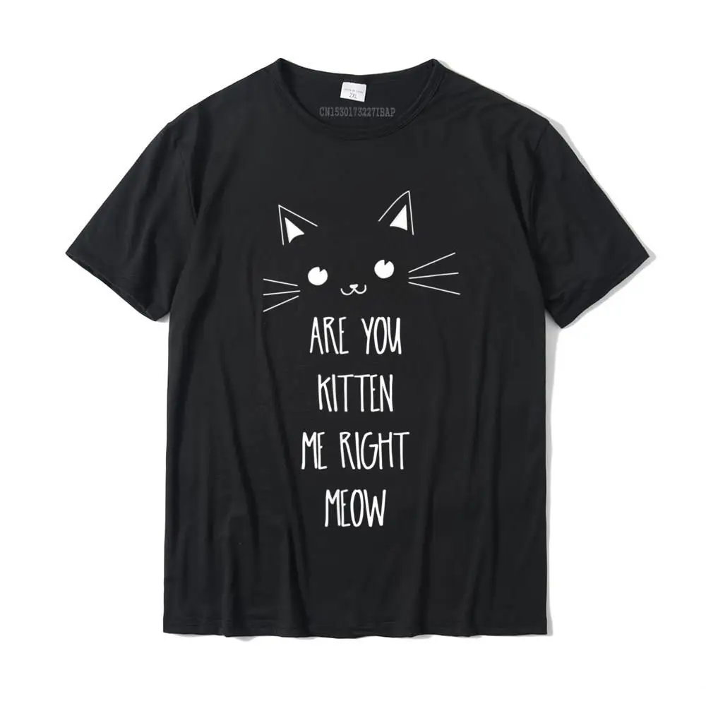 Are You Kitten Me Right Meow Shirt Brand Men T Shirt Harajuku Christmas Clothing Aesthetic Tshirt Cotton Tops Shirt Street