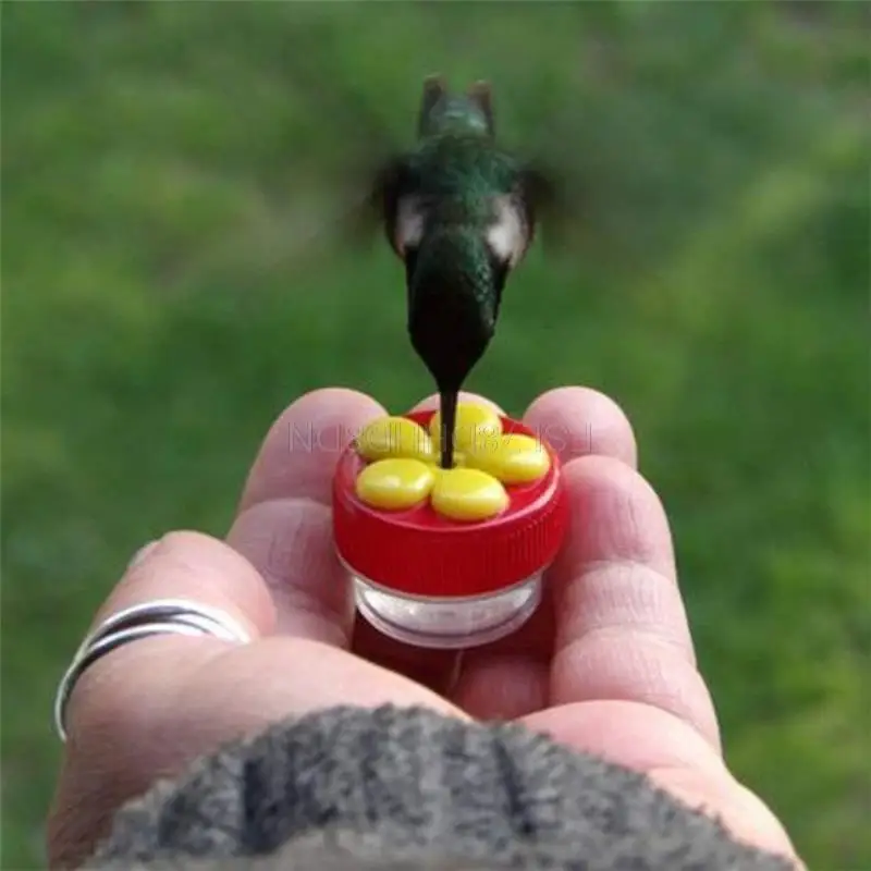 Flowers Shape Handhold Bird Hummingbird Feeder Drinker Plastic Seed And Water Outdoor Window Suction Cup Bird Feeder