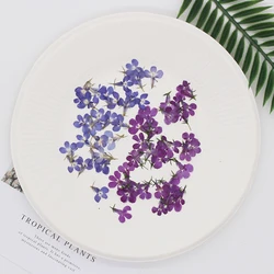 120pcs/1.5cm,natural tiny flower drop glue phone case bookmark photo frame Decal beauty and nail enhancement material fall decor