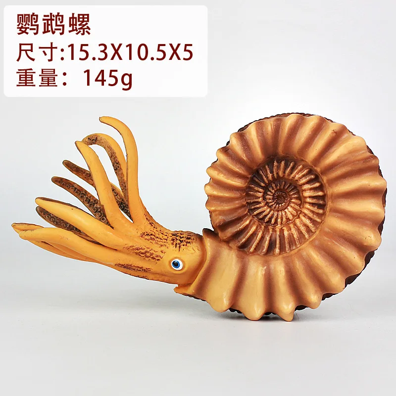 Sea Life Animal Conch Nautilus Figure Toys Ocean Animal Kids Solid Plastic Cement Toys Gift