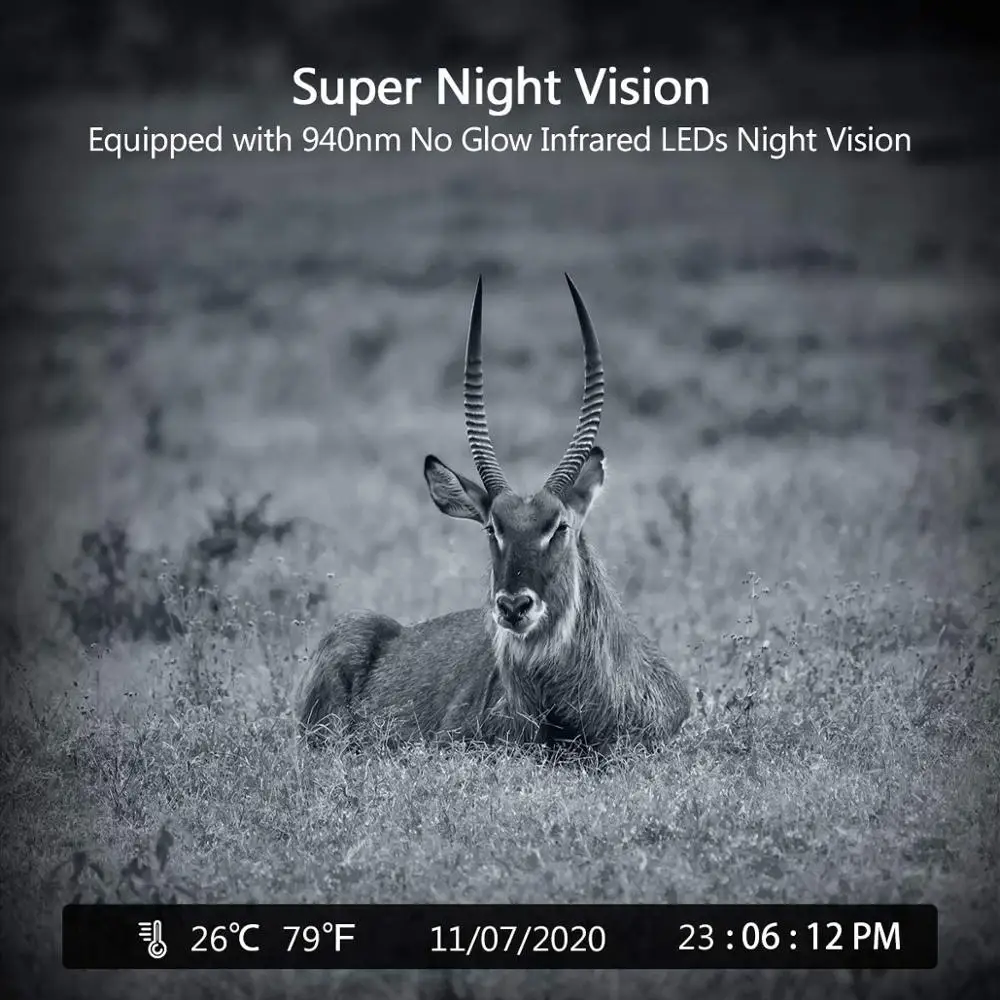 WIFI Live Stream Trail Camera 24MP 1296P APP Live Show Hunting Cameras 940nm IR LEDs No Glow Night Vision Wildlife Monitoring