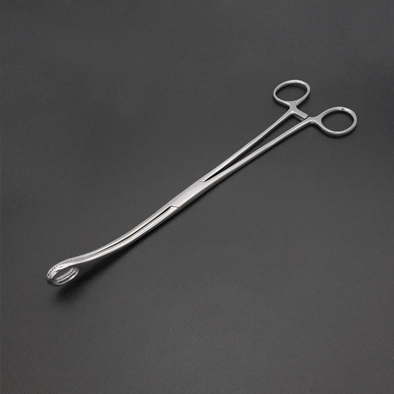 สแตนเลสสตีลฟองน้ำคีมรอบไข่คีมเนื้อเยื่อศัลยกรรมผ้าฝ้ายคีมรูปไข่คีม Holding Forceps ปากมดลูก Force