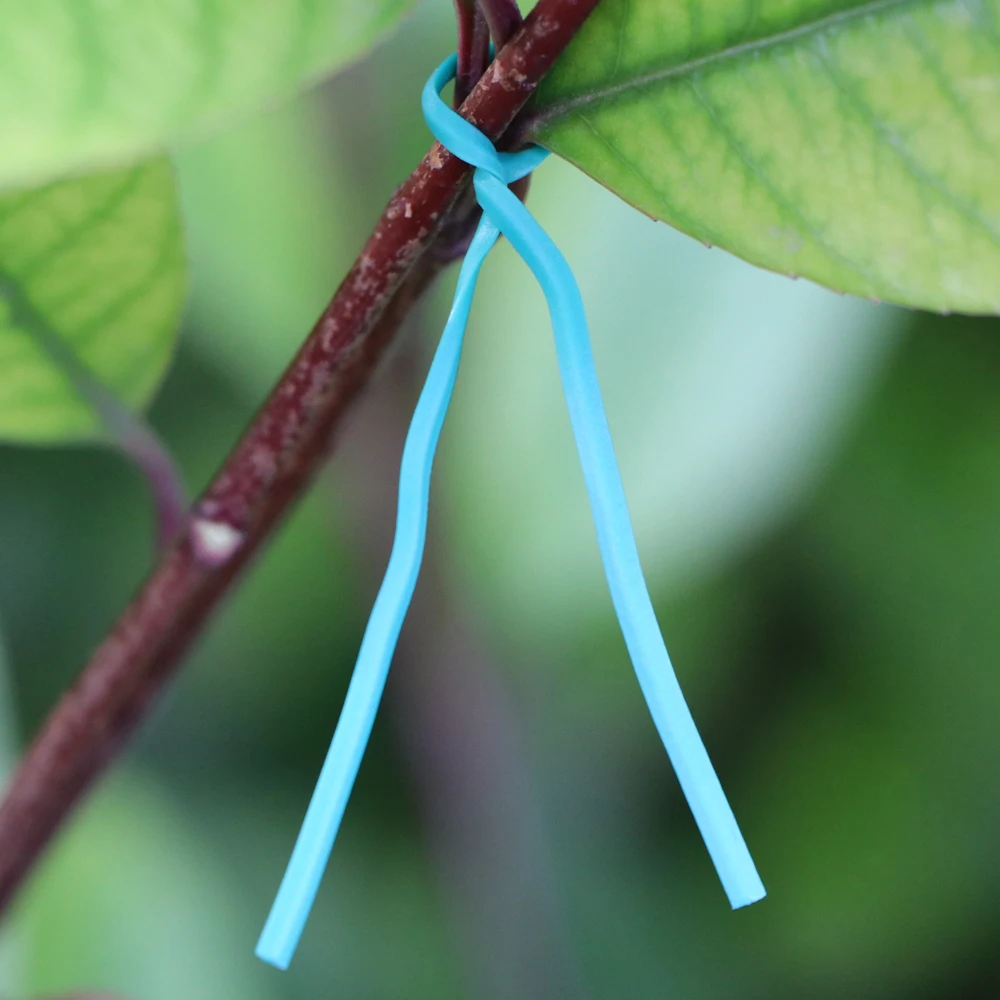 10/12/15/20CM ogród obejmy plastikowa roślina wsparcie kabel przewód wspinaczka winorośli ligatura wielofunkcyjne stałe struny przewód zasilający