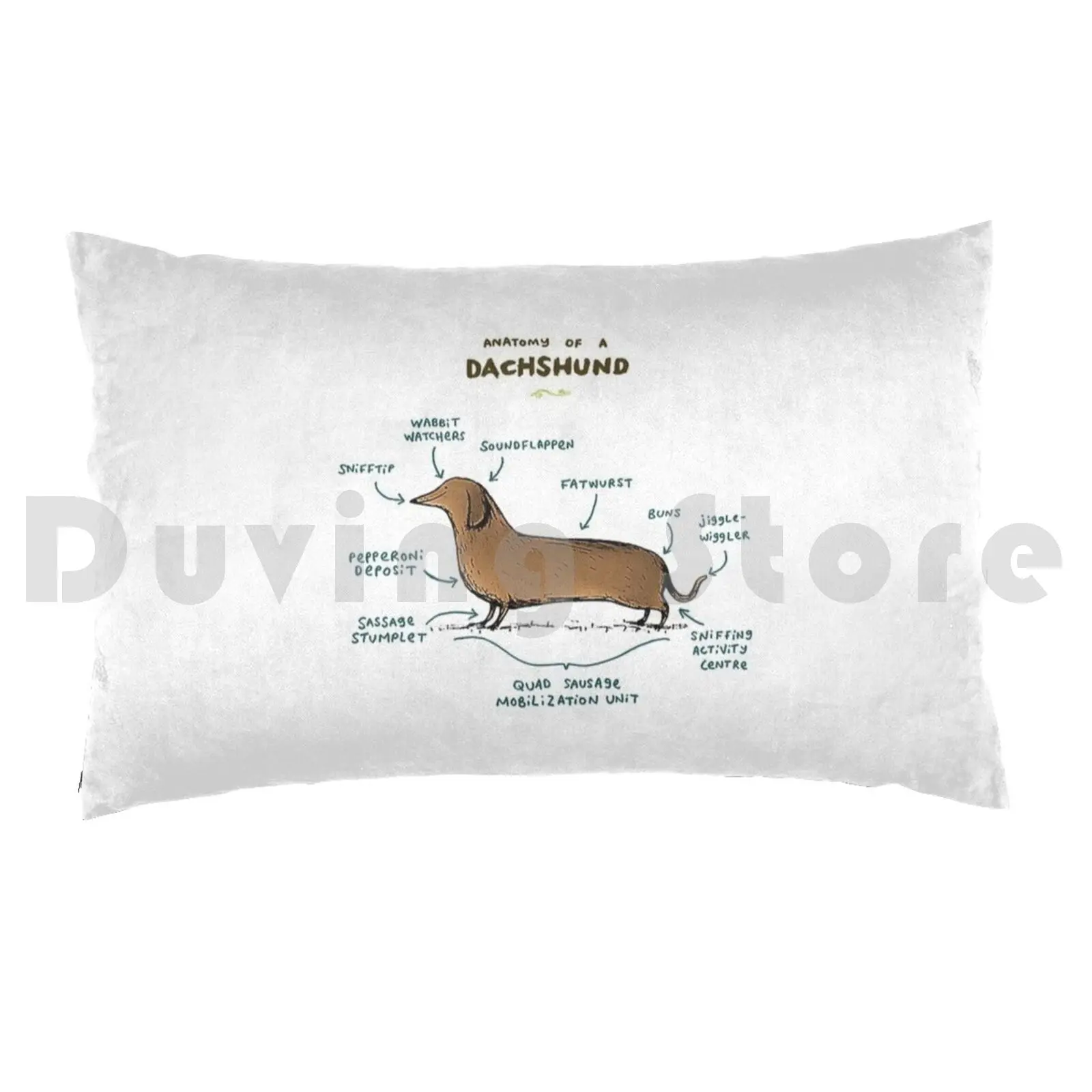 Anatomy Of A DachshundPillow case Dachshund Dachshund Dog Dachshund Dachshund Dog Dogs Dachshund