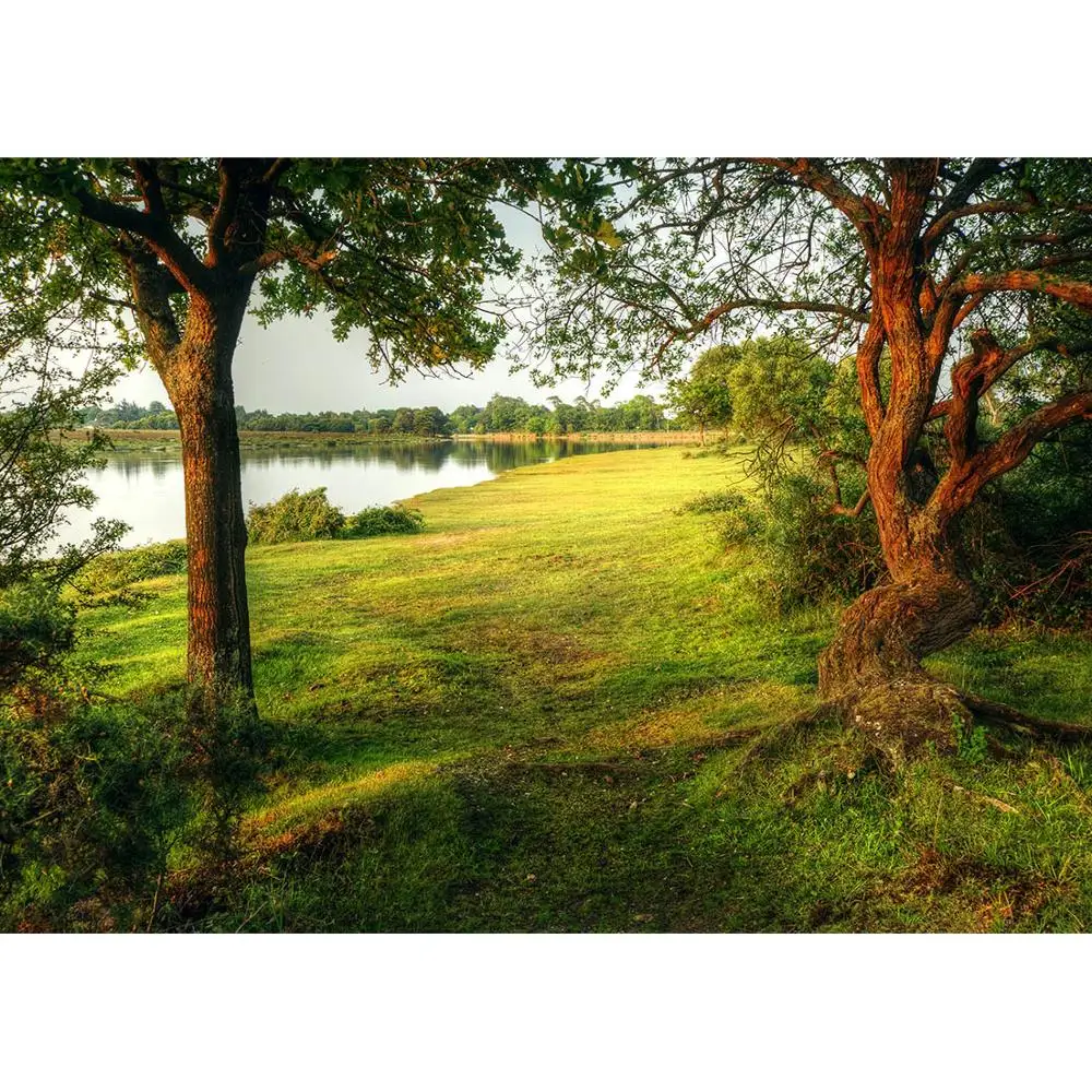 Grassland Lake Trees Scenery Photography Backdrop Customized Background for Children Baby Portrait Pets Photocall Photo Studio