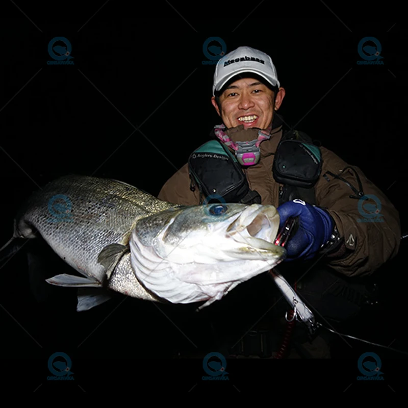 اليابان Megabass KAGELOU 100F 0.2- 0.4 متر المياه العائمة الطعم الصب الصيد إغراء البحر المياه العذبة LBO لمسافات طويلة السهام #6