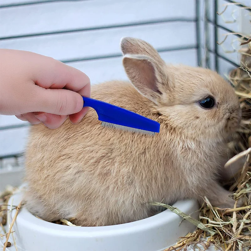 2Pcs/Set Rabbit Grooming Brush Small Animal Hair Remover Shedding Bunny Comb Pet Guinea Pig Bath Brush for Rabbit Hamster