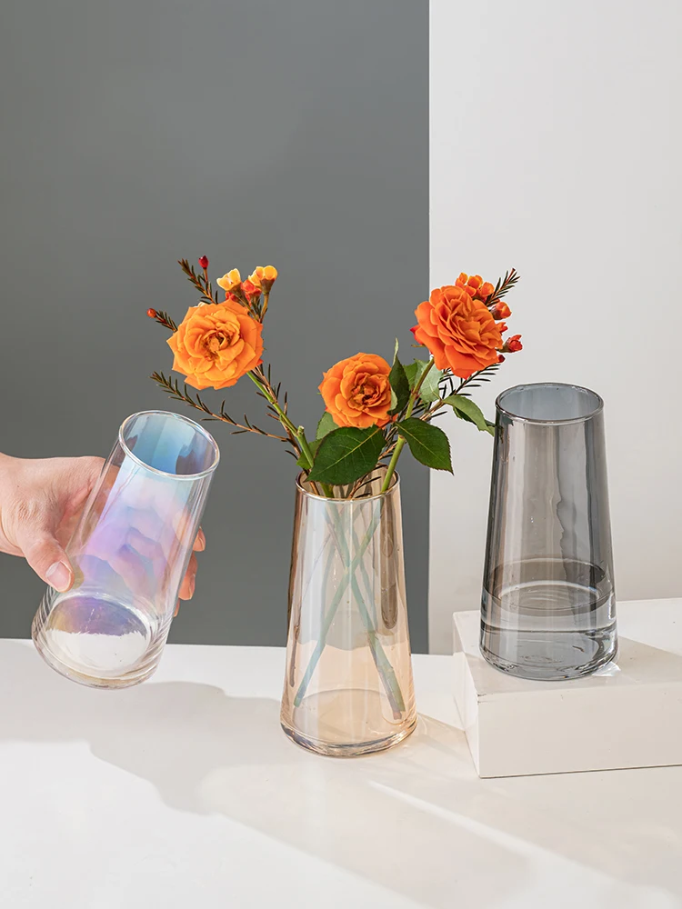 

Modern Glass Vase, Colorful Terrarium, Small Flower Pot, Hydroponic Systems, Aesthetic Room, Home Decoration