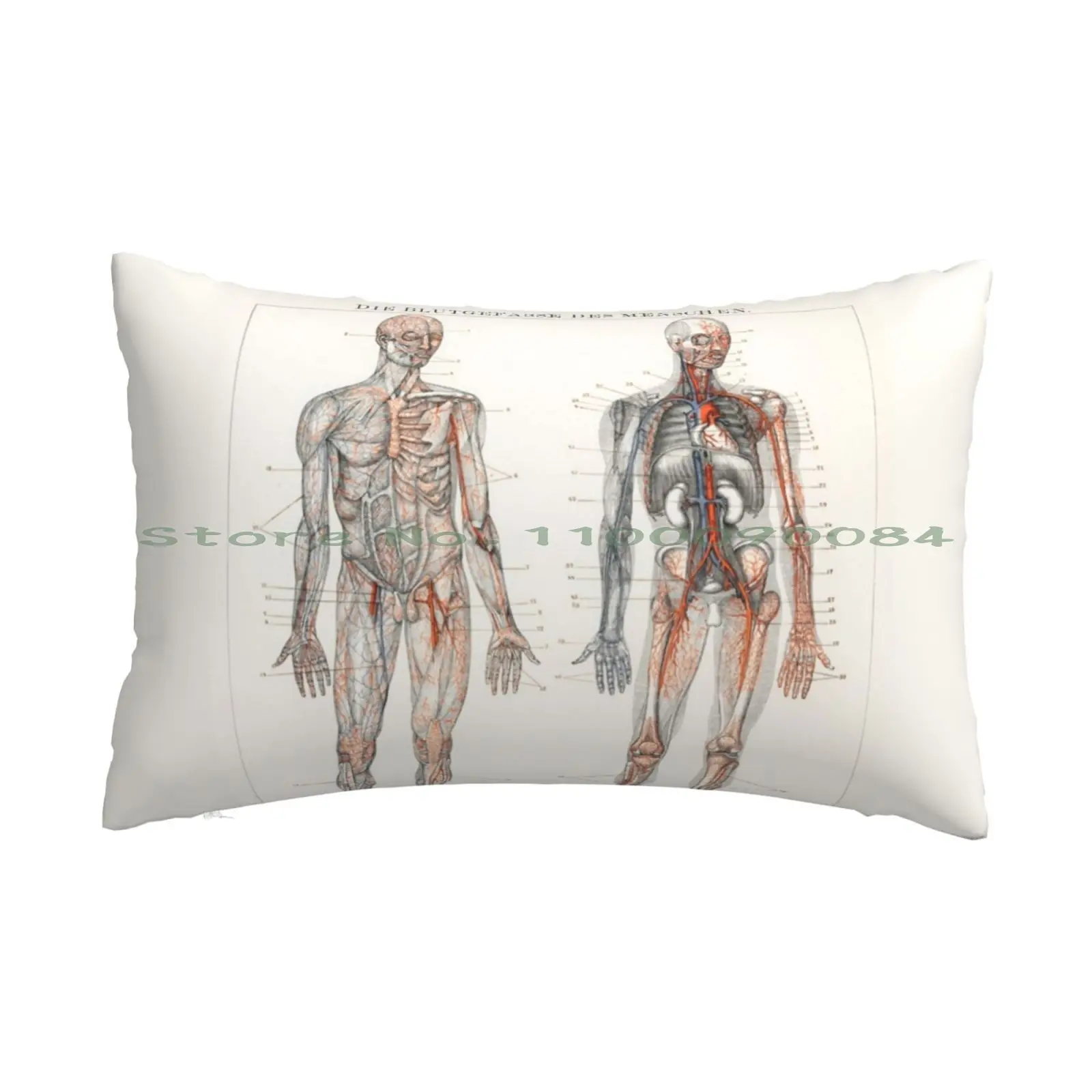 Antique Scientific Anatomical Illustration Of The Human Blood Vessels And Cardiovascular System ( 1898 ) Pillow Case 20x30