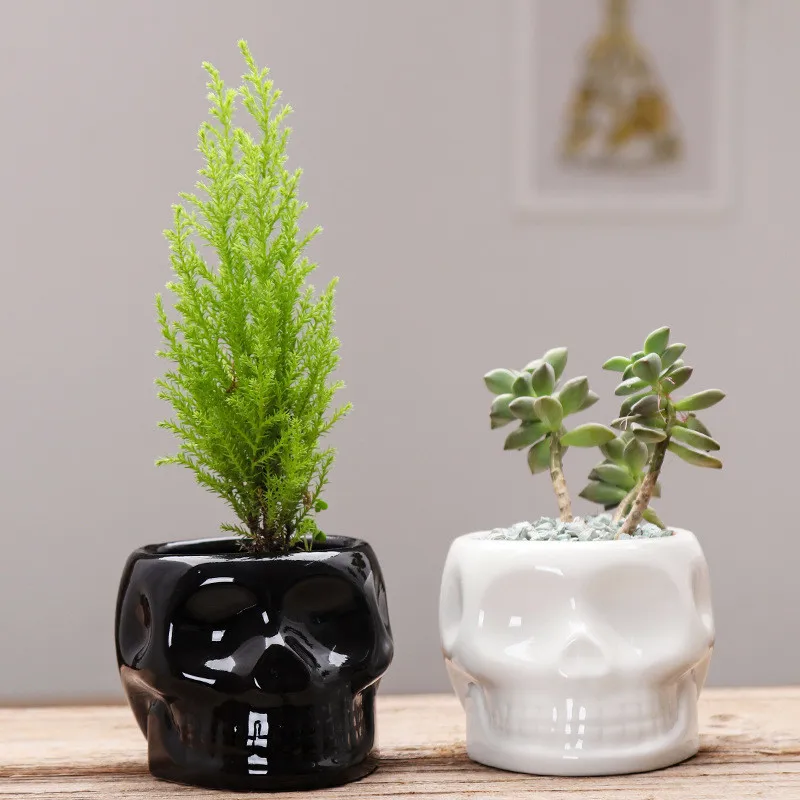 New Arrival Series of Real Planting Grass Little White Ceramic Skull/Smile Flower Vase Good for Gift Home Decoration