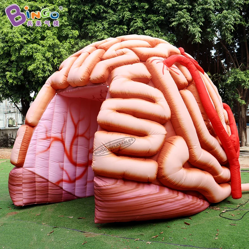 Customized 5.1x4.5x3.6 Meters Inflatable Brain Tunnel Tent For Education / Blow Up Inflated Brain Balloon - BG-H0040